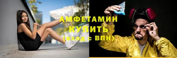 сатива Липки