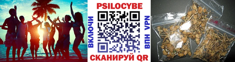 Псилоцибиновые грибы GOLDEN TEACHER  Купить где  Татарск 