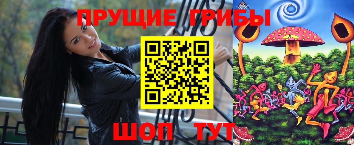 Псилоцибиновые грибы GOLDEN TEACHER  хочу наркоту  Татарск 