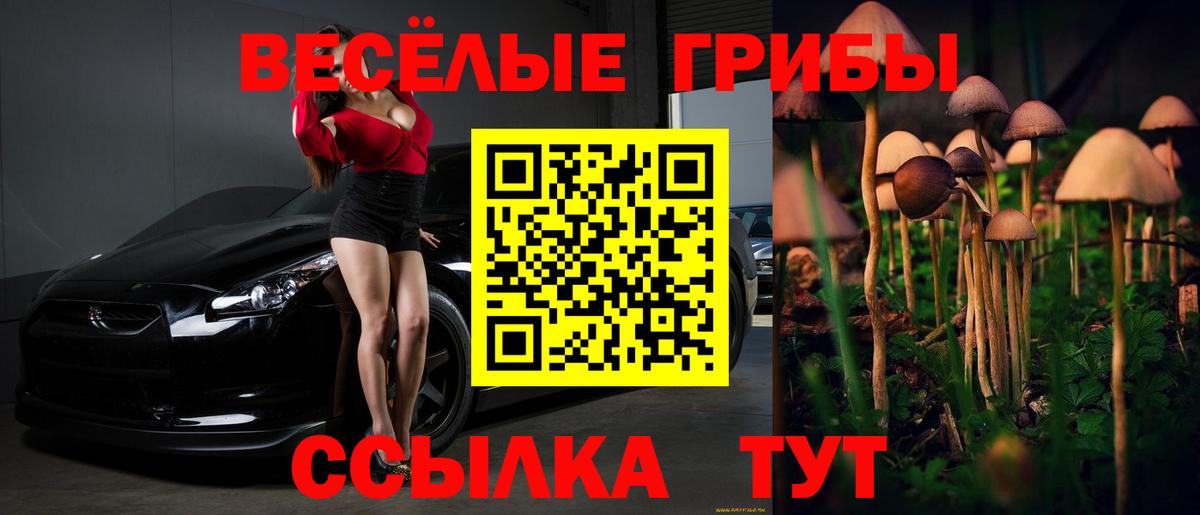 Псилоцибиновые грибы GOLDEN TEACHER Татарск